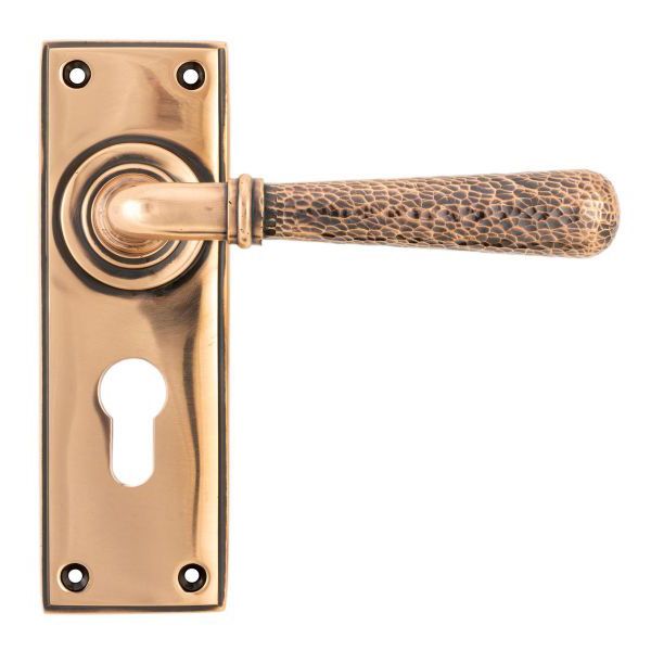 From The Anvil Hammered Newbury Door Handle on Backplate - Pair