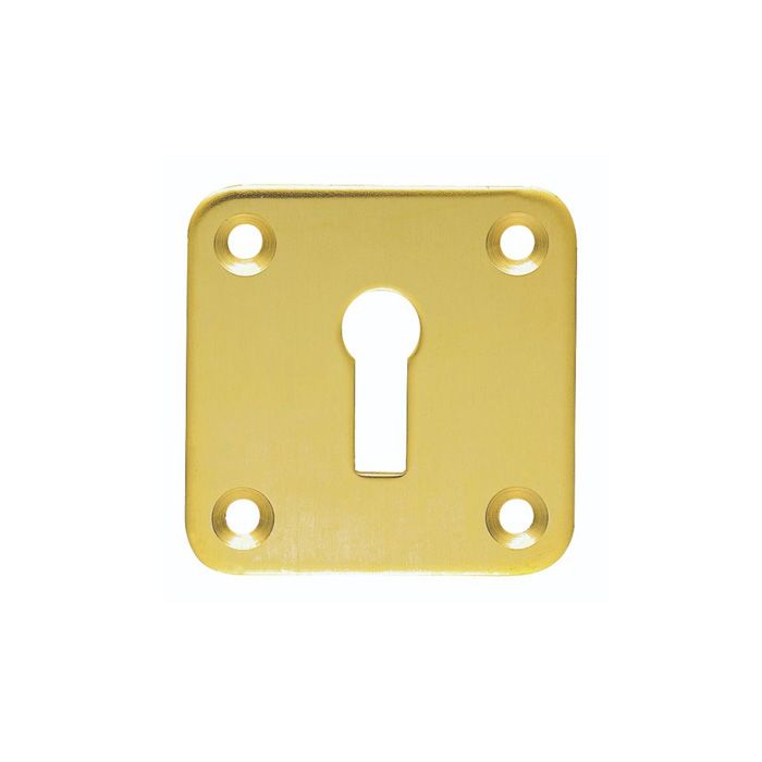 Carlisle Brass Standard Profile Square Escutcheon 