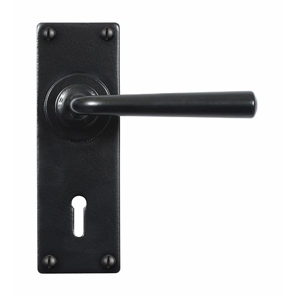 Stonebridge Padstow Door Handle on Backplate - Pair